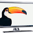 b8lfYn2vbgE-channel-avatar-ToucanCommunications
