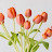 @user-ep7jm8ef4c