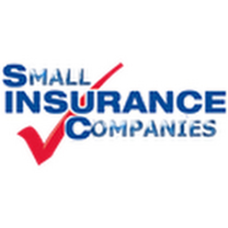 Small Insurance Companies