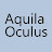 @aquila_oculus520
