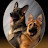 @Rbuffdogs Avatar