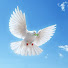 tTPCLfMuUPU-channel-avatar-Ruach HaKodesh