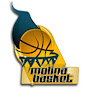 Molina Basket TV logo