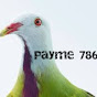 payme 786 logo