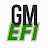 GM EFI Magazine
