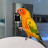 @coreynunn3385 Avatar