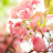 @purewater77887