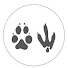 AFyckv9s_jQ-channel-avatar-BambitoRjn
