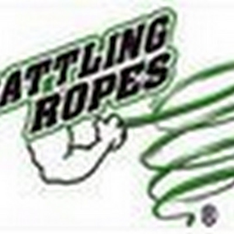 BattlingRopes