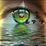 BamcYM4Ckzs-channel-avatar-asphinxkat
