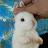 @Hop_Hop_Hop