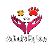 ANIMALS MY LOVE