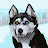@user-zu9gg2op2p