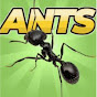 Ants Colorado logo
