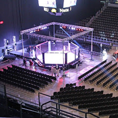 AbsoluteActionMMA