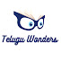 JriD-XaZSZY-channel-avatar-Telugu Wonders