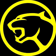 MSC Puma Kuppenheim e.V. im ADAC