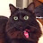 @Kittymomish's avatar
