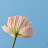 @가화만사성-f5i