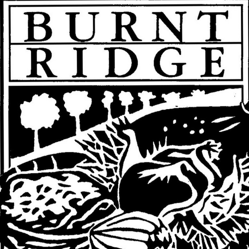 Burnt Ridge Nursery