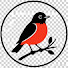 XdMVYjeHqXw-channel-avatar-Robin Ramp