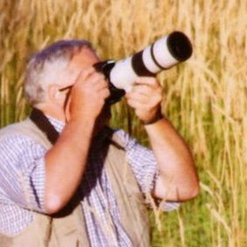 Paul Rentz