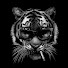 covUesgI6fA-channel-avatar-Meta Sage