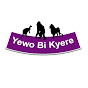Yewo Bi Kyere TV logo