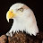 @ShawnPark's avatar
