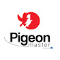 Pigeon-Master