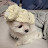 @보리아빠-v9o