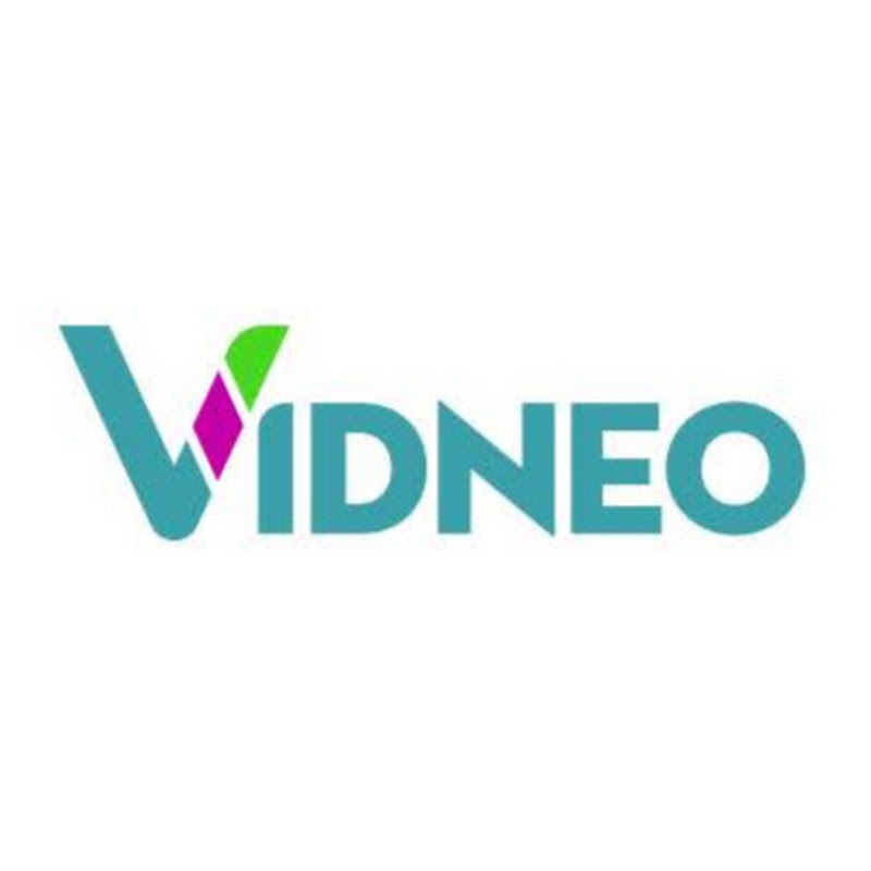 vidneo productions