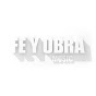 FeyObraMusic