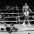 GnG7dKnEClY-channel-avatar-boxingTV 111