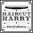 wY9k2GG2AXg-channel-avatar-HairCut Harry