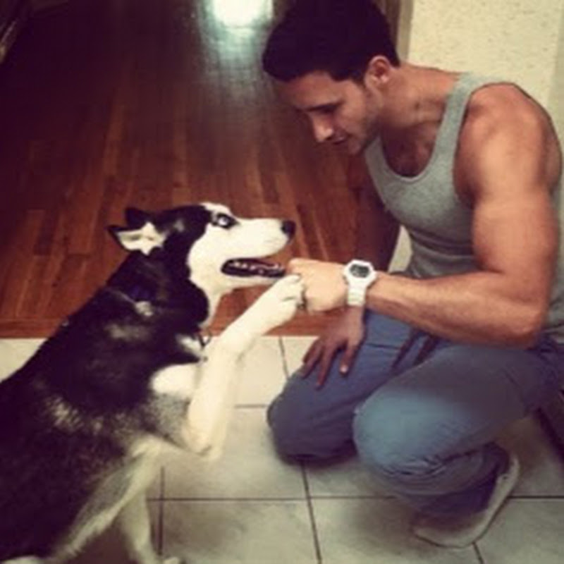 Doggy Dans Online Dog Trainer Reviews