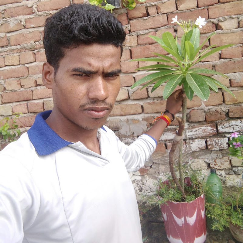 Rk gardening