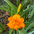 @dwarfhernandez6636 Avatar