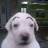 @mordecaijackson461's avatar