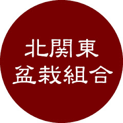 北関東盆栽組合アイコン画像