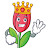 @king_tulip