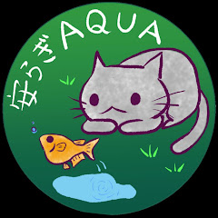 安らぎAQUAちゃんねるアイコン画像