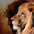 2bdE2T1tyUs-channel-avatar-Le lion De la tribu de juda