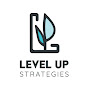 Level Up Strategies logo