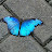 @Stardust-gj5fu