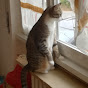 Giusy StratoCATter Tranchino