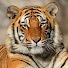 DiO3w8jOqkw-channel-avatar-leo leo