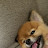 @phokingnuts