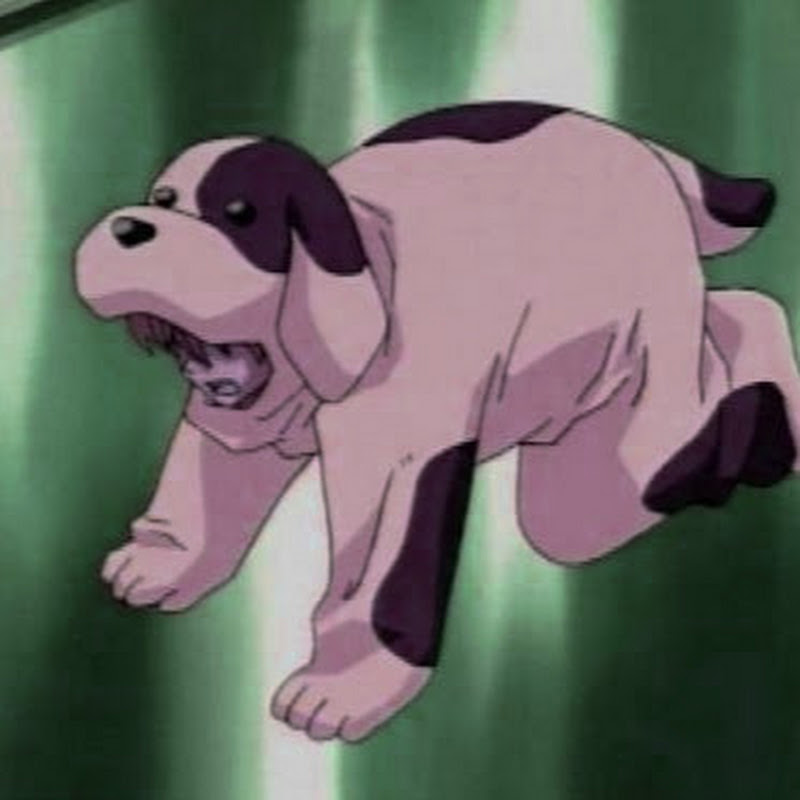 ponty-poo