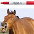 lD7grgb-IOg-channel-avatar-Marc Ernay
